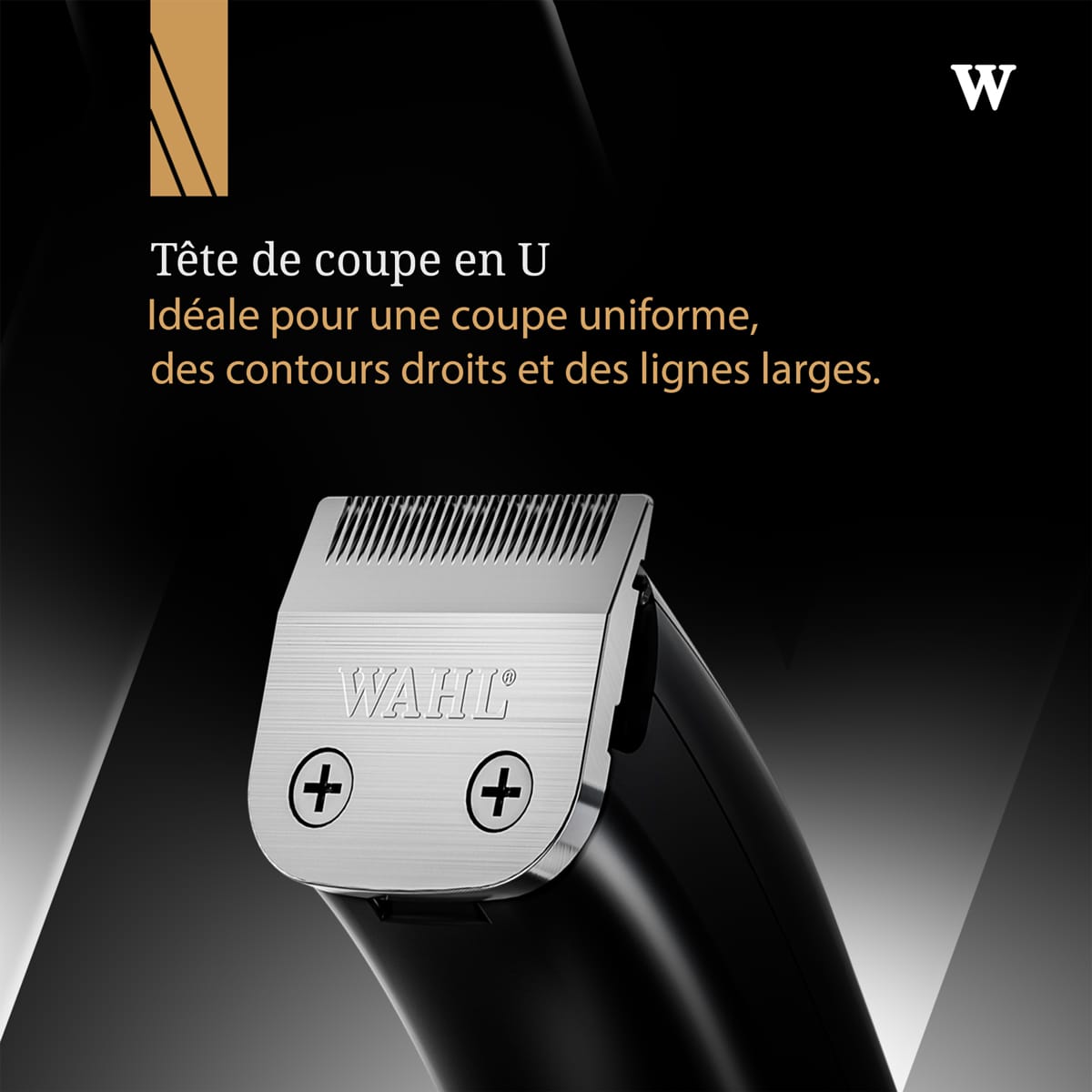 Tondeuse de Finition CHROMINI DUO