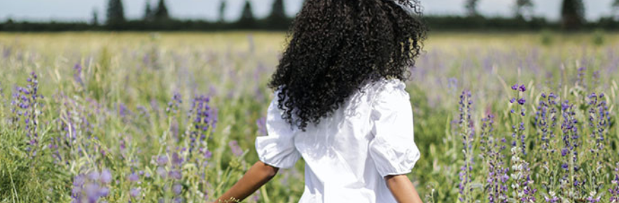 femme de dos qui se balade dans un champ de lavande