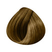 EASY 21 Extensions Width 14cm 4 Clips X3 Strips 50/55cm