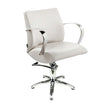 Lioness hairdressing chair