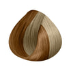 EASY 21 Extensions Width 14cm 4 Clips X3 Strips 50/55cm