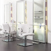Lioness hairdressing chair
