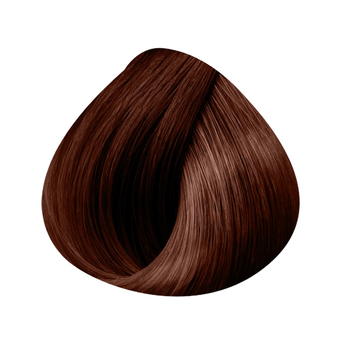 EASY 21 Extensions Width 14cm 4 Clips X3 Strips 50/55cm