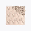 NUDE VENUS Powder
