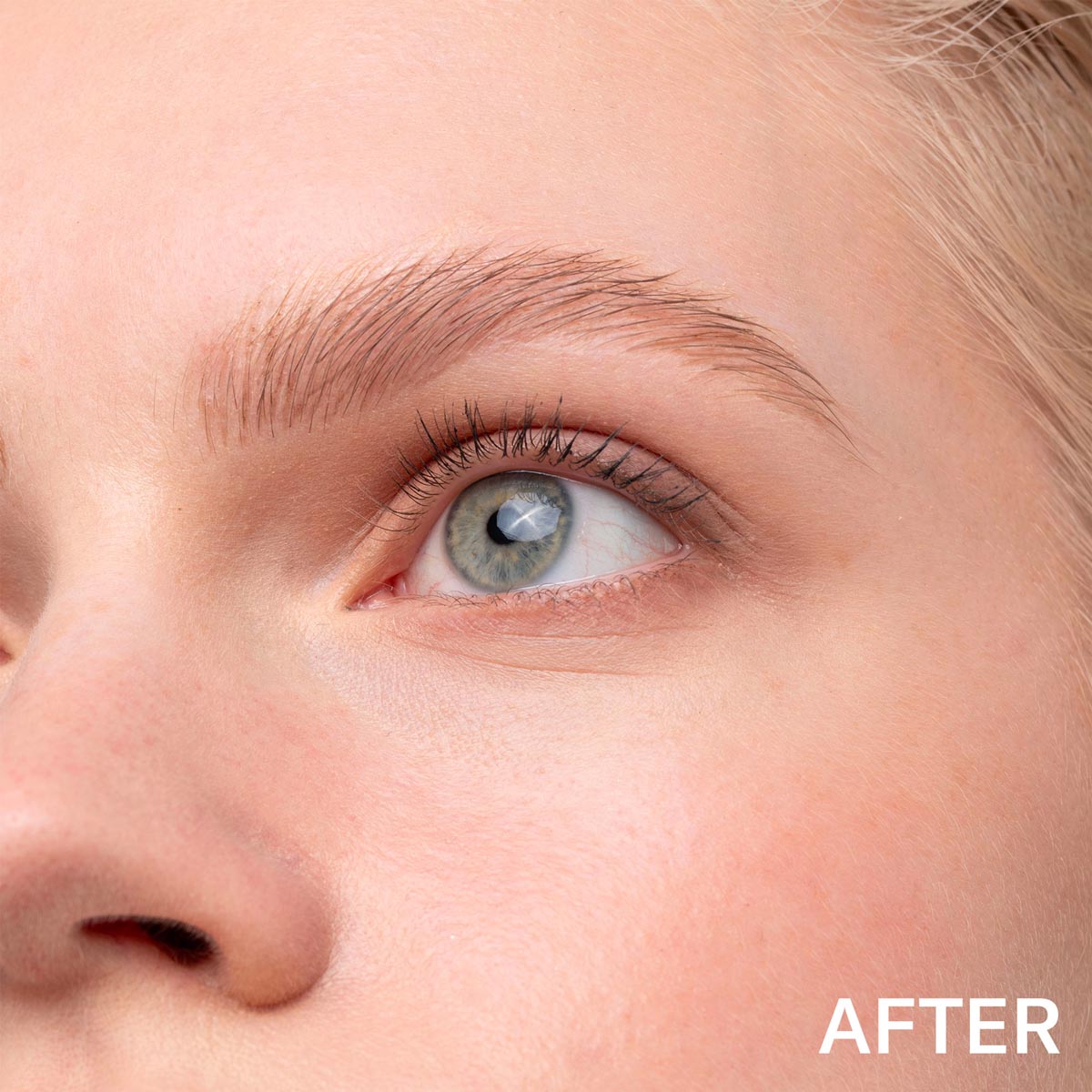 SIGNBROW eyebrow felt-tip pen