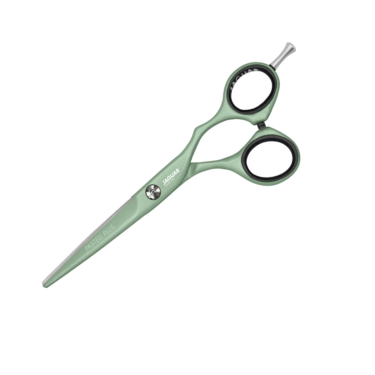Cutting Scissors Pastell Plus Crane 5.5