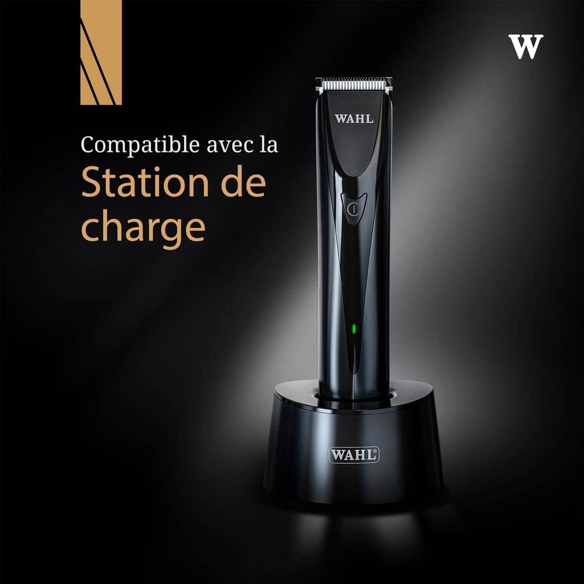 Tondeuse de Finition CHROMINI DUO