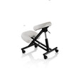 Ergonomic Stool