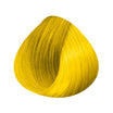 DiaLight Booster Colour