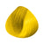 DiaLight Booster Colour