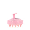 Brosse de Massage Cuir Chevelu