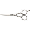 Dual steel scissors