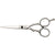 Dual steel scissors