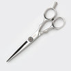 Dual steel scissors