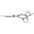 Corum Super Alloy Scissors, Size 5.5