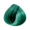 Coloration Semi-Permanente High Voltage