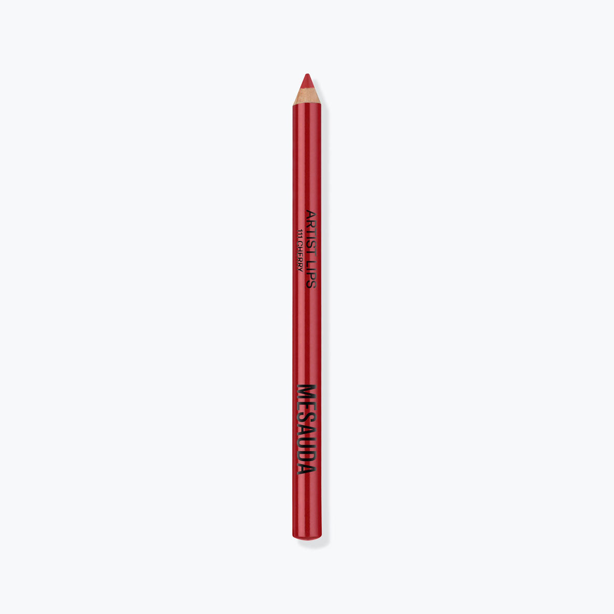 ARTIST LIPS Lip Crayon