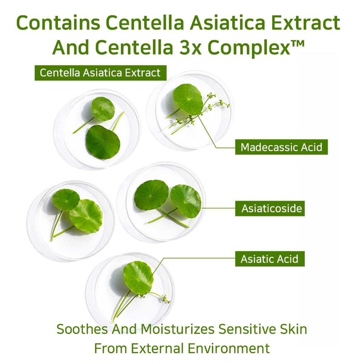 Crème Visage Acide Salicylique BHA Arbutine