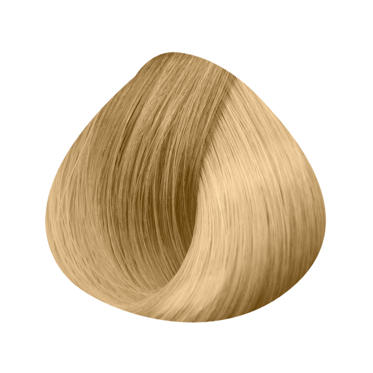 EASY 21 Extensions Width 14cm 4 Clips X3 Strips 50/55cm