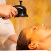 Silicone Head SPA Wash Brush Spray Nozzle