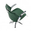 Fauteuil LIONESS REC inclinable