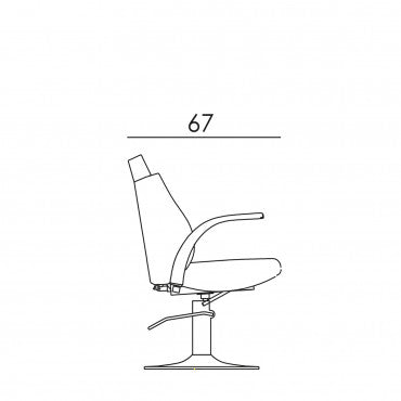 Fauteuil LIONESS REC inclinable