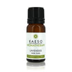 Lavender essential oil