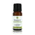Lavender essential oil