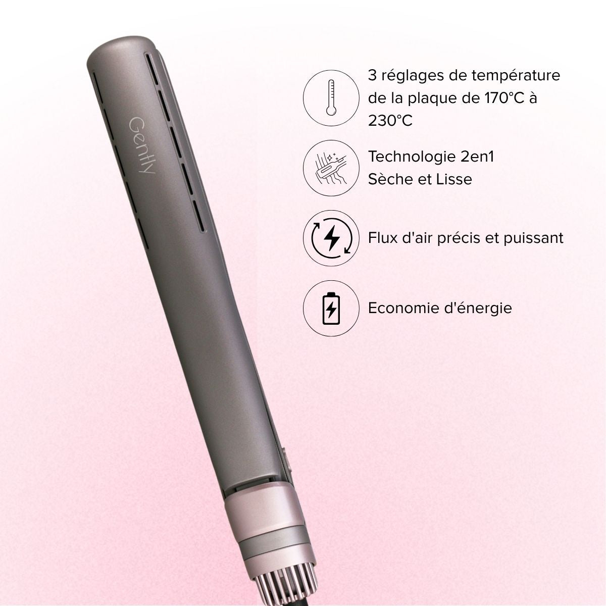 Lisseur Professionnel Séchant 2en 1 DRY'N'LISS