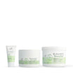 Renewing Elements Mask 2.0