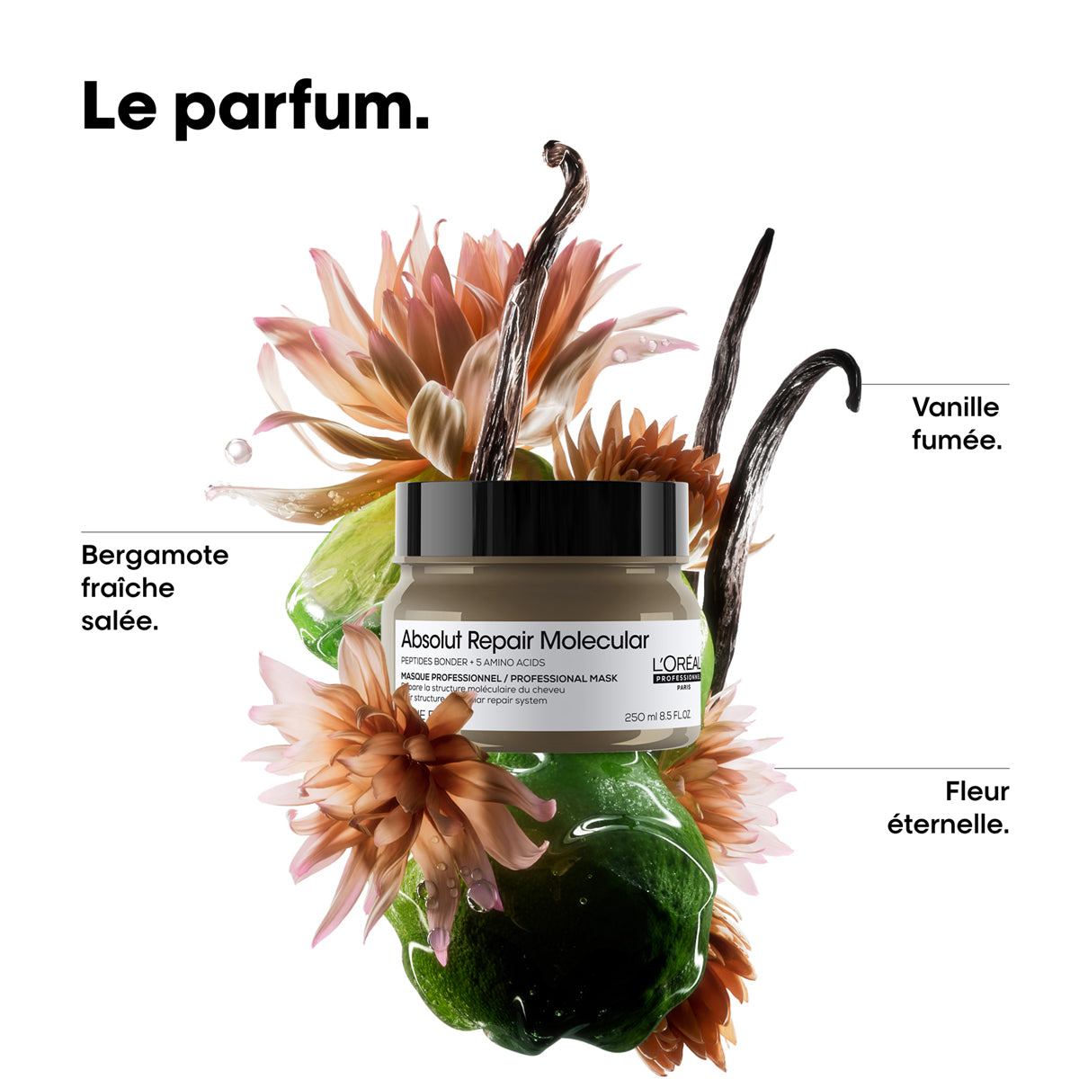 Masque Absolut Repair Molecular