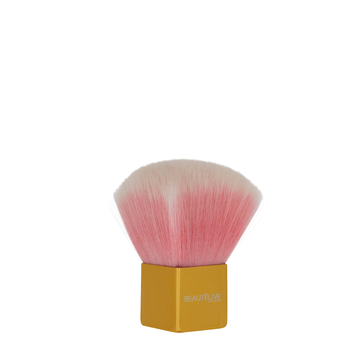 Nail dust brush