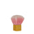 Nail dust brush