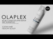 Clean Volume Detox Dry Shampoo N4D
