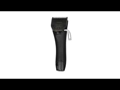 Tondeuse de Coupe KUNO Noire