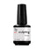 Sculpting+ Primer