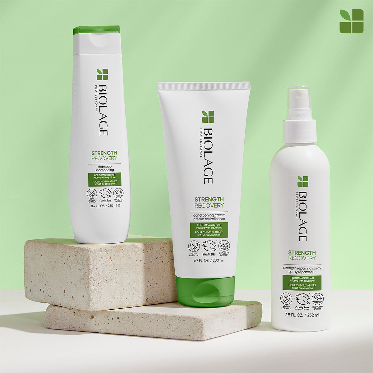 Spray protecteur Strength Recovery Biolage 232ml