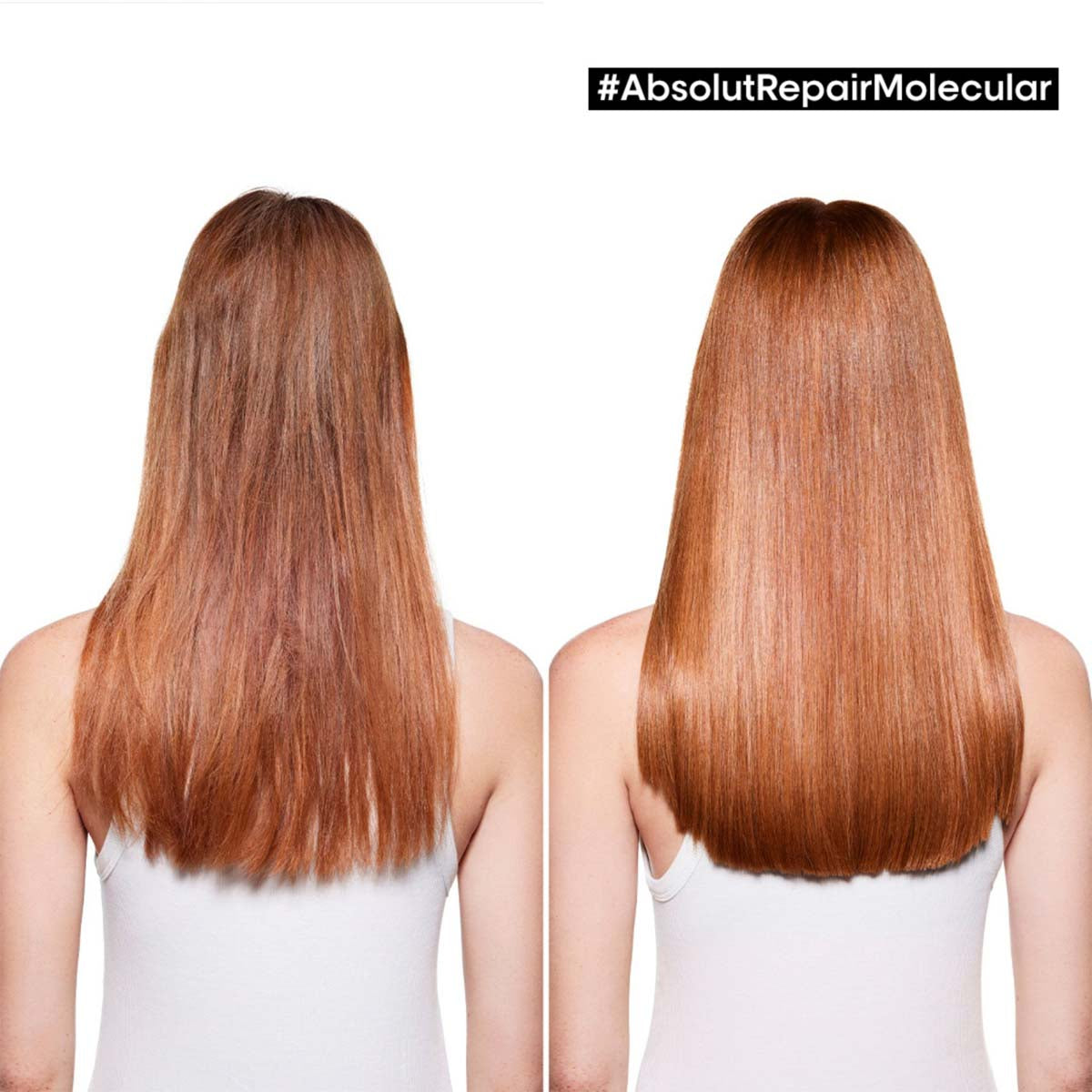 Absolut Repair Molecular Routine