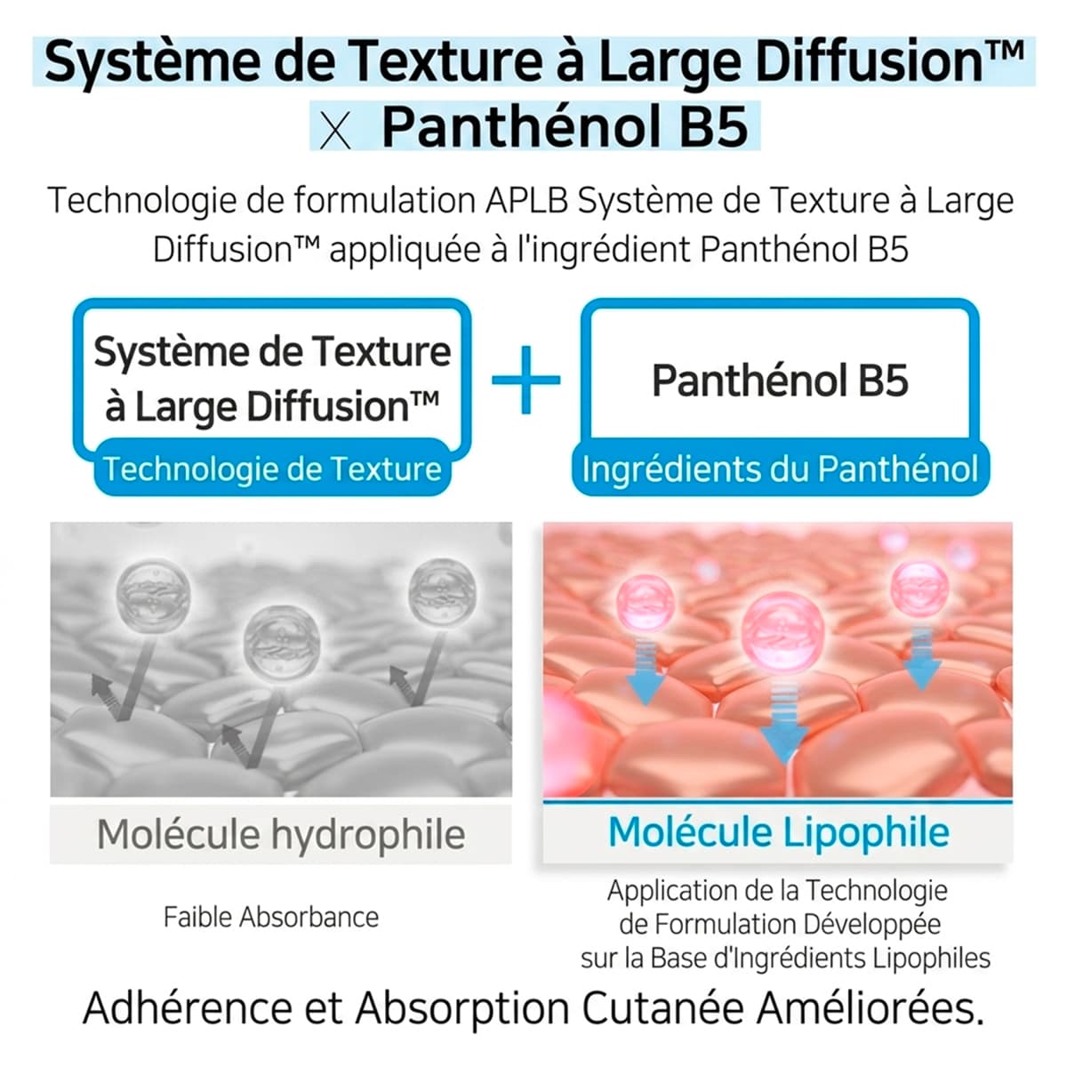 Sérum Acide Hyaluronique Céramides HA B5