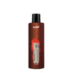 Retouch Lab Repigmenting Shampoo