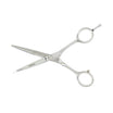 Right-Handed Scissor and Thinning Shear Set
