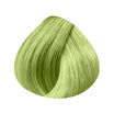 10 extensions naturelles lisses fantaisie 55CM, fixation kératine